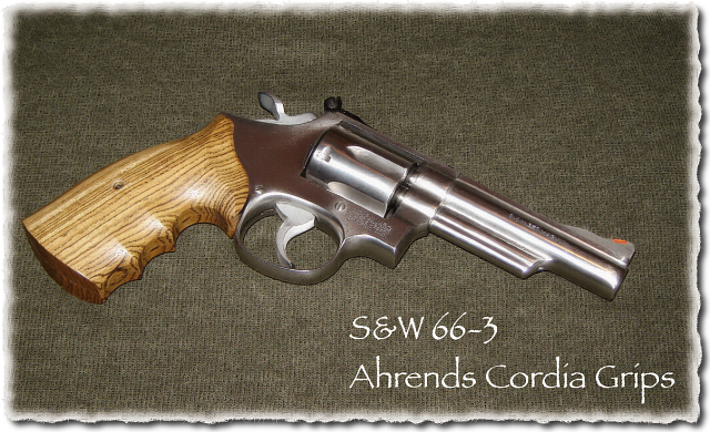 S&W 66 w/Ahrends Stocks