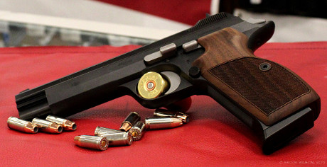 Sig P210