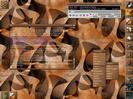 extra_sensory_squirrel