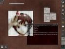 Lain