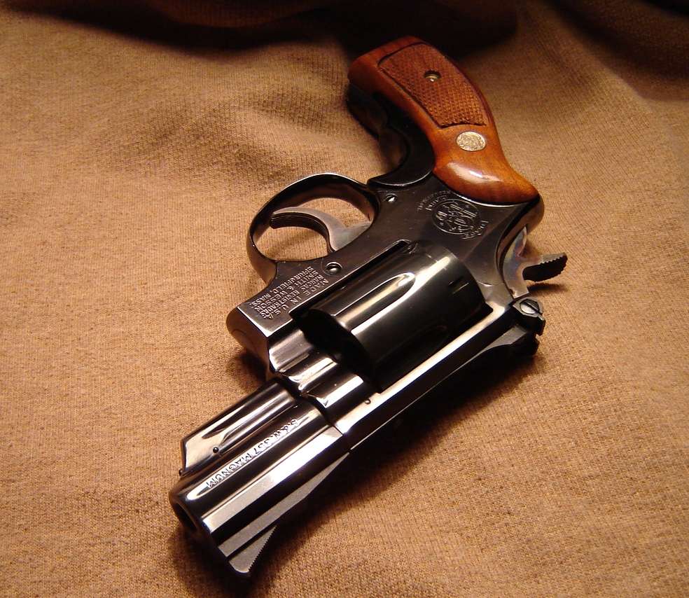 Smith & Wesson 19
